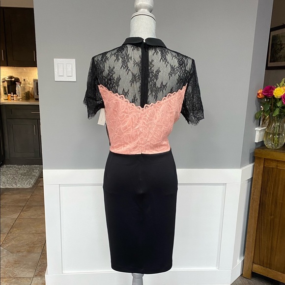 COLORBLOCK LACE SHEATH DRESS - Picture 5 of 9